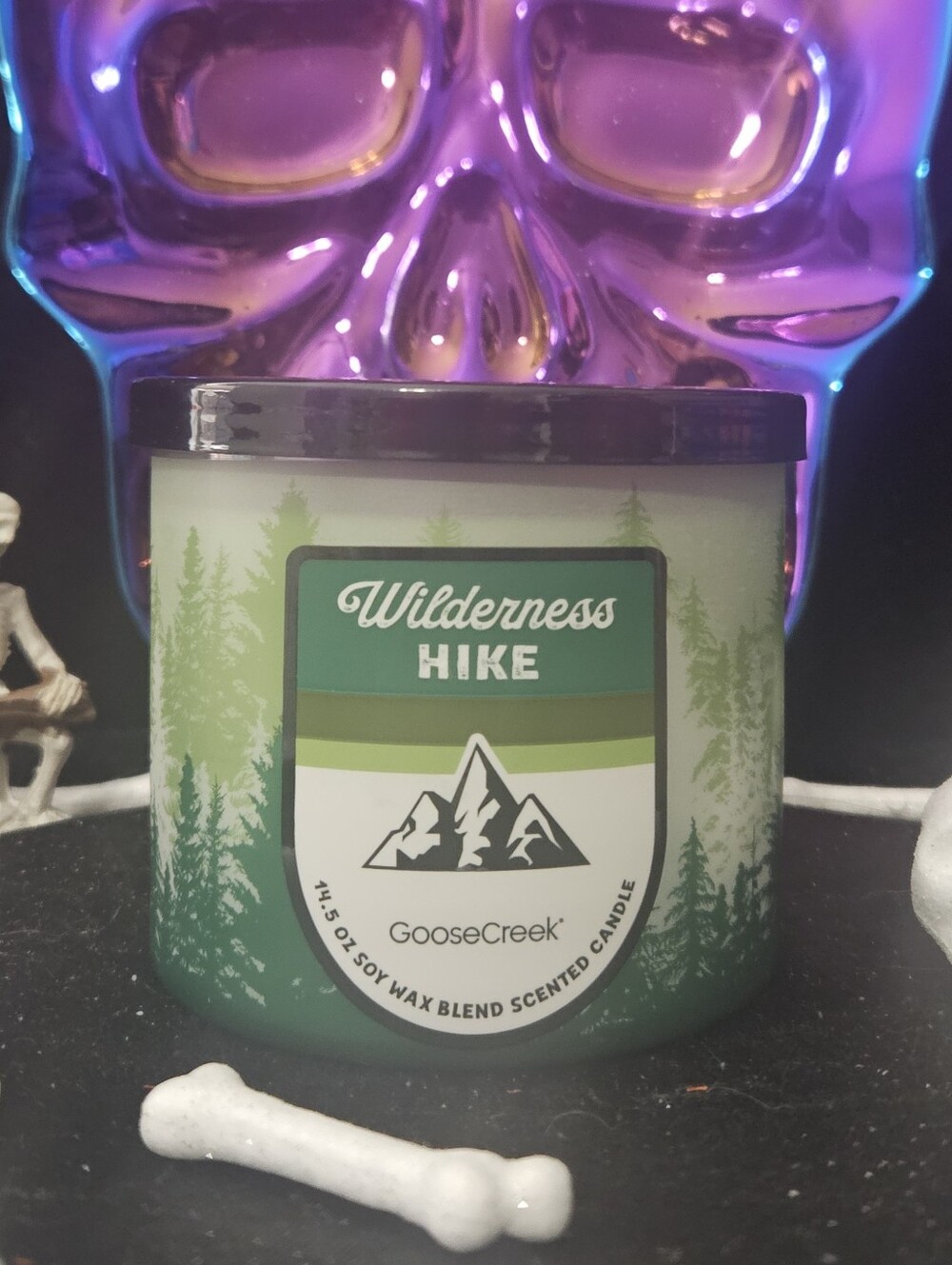 NWT Goose Creek Wilderness Hike 3-Wick Candle - Green and White